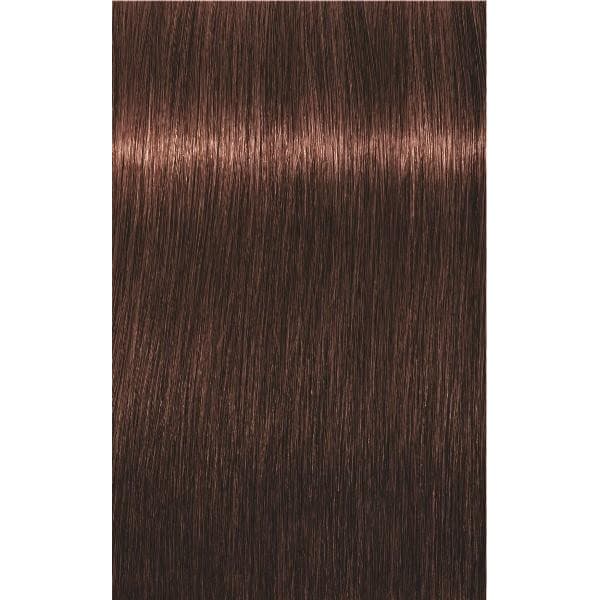 IGORA ROYAL Крем-краска светлый коричневый шоколадный красный  5-68