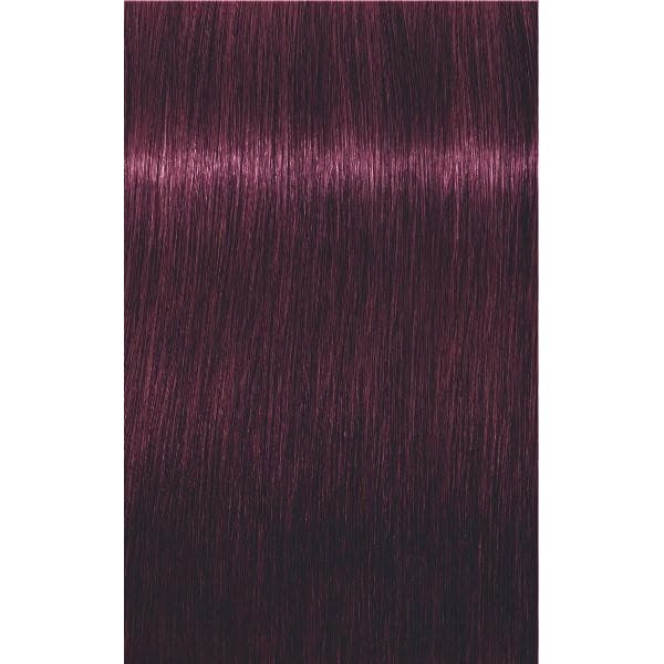 IGORA ROYAL Крем-краска темный русый фиолетовый экстра 6-99